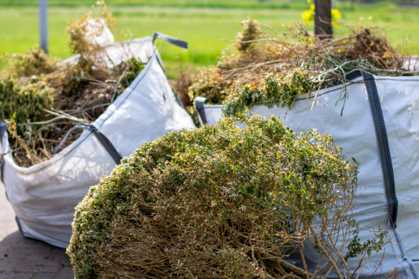 Best Yard Waste Removal  in Coldwater, MI